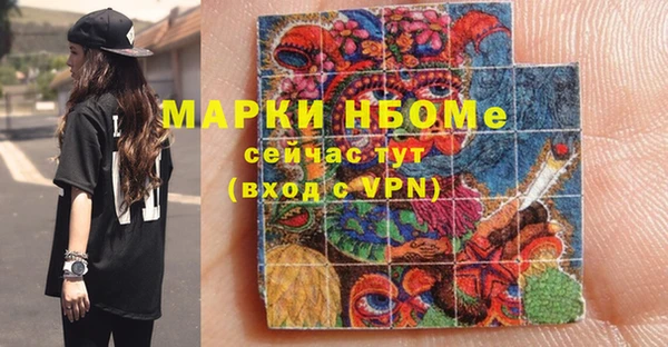 хмурый Алзамай