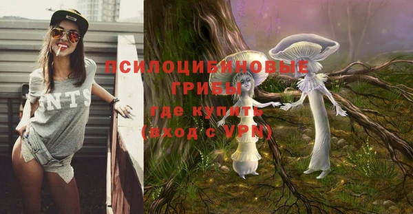 каннабис Алексеевка