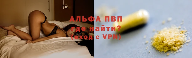 хмурый Алзамай