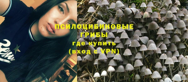 хмурый Алзамай