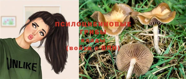 хмурый Алзамай