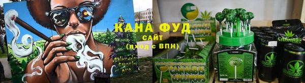 хмурый Алзамай