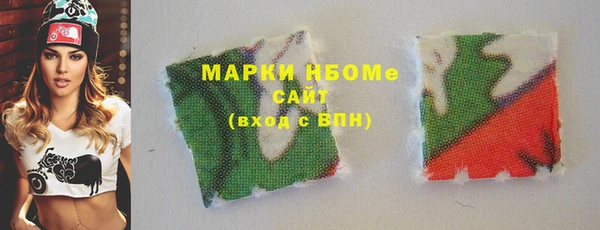 хмурый Алзамай