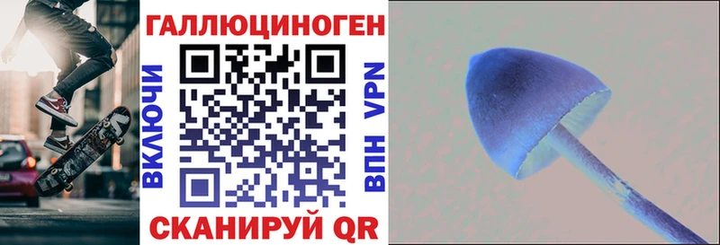 мориарти клад  купить   Кимры  Галлюциногенные грибы ЛСД 