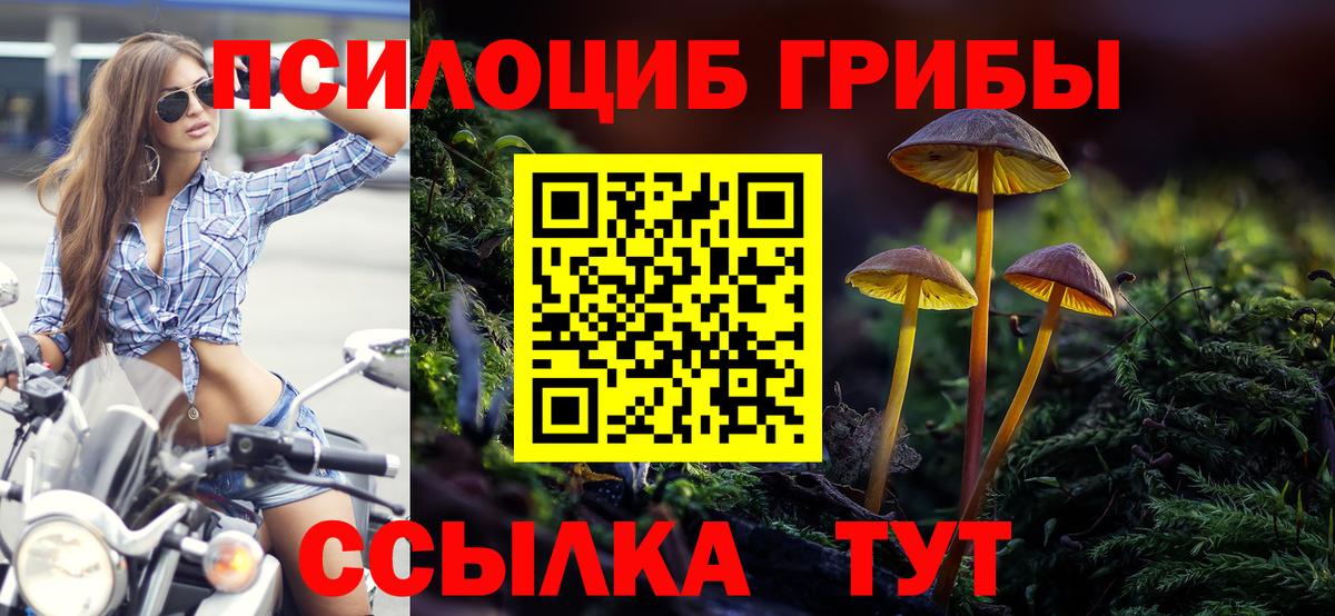 Псилоцибиновые грибы MAGIC MUSHROOMS  Галлюциногенные грибы Psilocybine cubensis  Вход с VPN  Кимры 